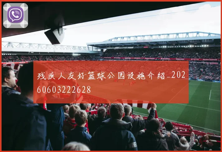 残疾人友好篮球公园设施介绍_20260603222628