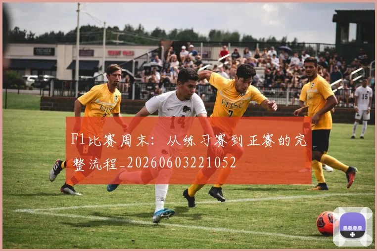 F1比赛周末:从练习赛到正赛的完整流程_20260603221052