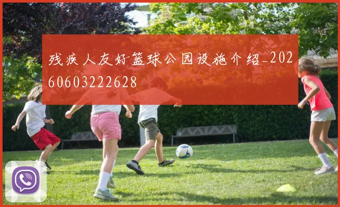 残疾人友好篮球公园设施介绍_20260603222628